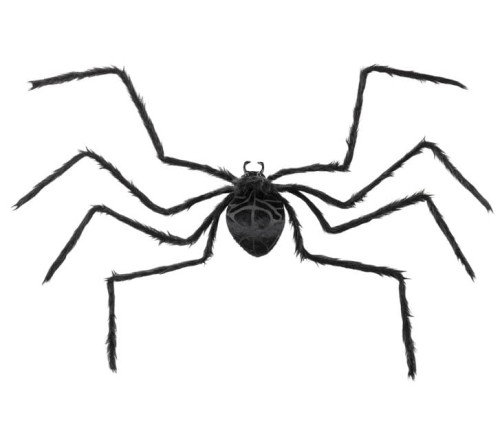 Dekoracja Pająk 103 x 75 cm