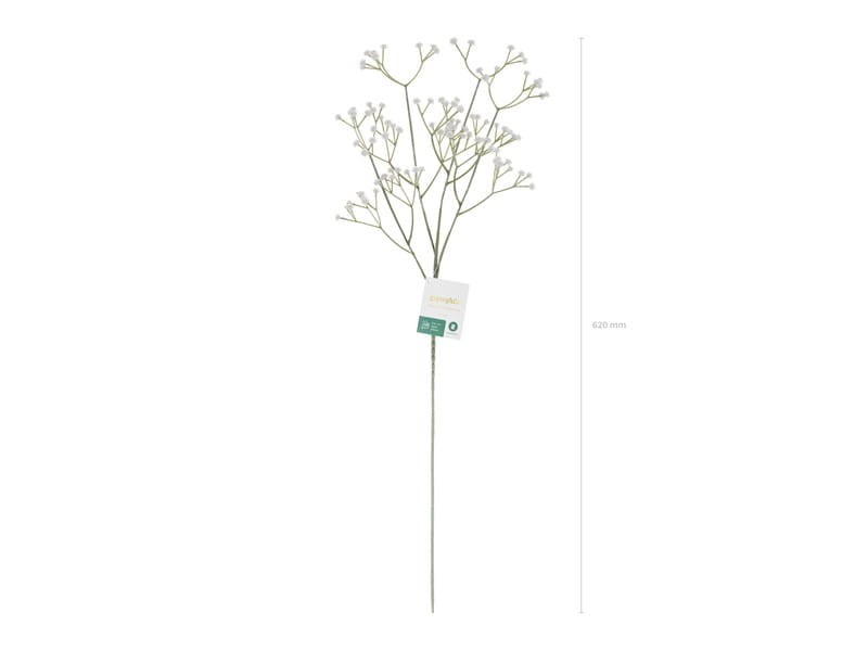 KWT1-008_op_01_S.jpg
